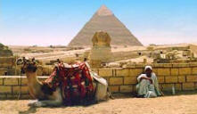 The camels of Cairo - The pyramids, the sphinx, all accesible with a mini cruise from Cyprus- a holiday within a holiday!